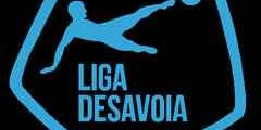 liga-desavoia-rezultate-si-clasamente