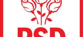 Logo_PSD