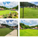 Colaj Tripa-Moneasa-22 mai 2018