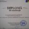 diploma Gheorghe Falca