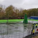 patinoar