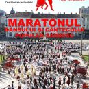 maratonul dansului sarbesc arad