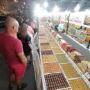 Food and fun - poza 1