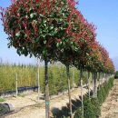 WhatsApp Image 2021-11-10 at 23.21.03