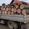 camioneta lemne