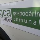 gca arad