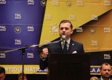 bogdan faur