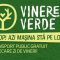 Afis - Vinerea Verde