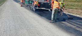 seleus sicula