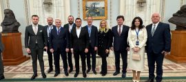 pnl arad