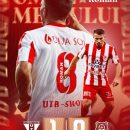 uta alin roman